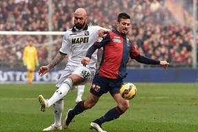 包含浙江队迎意甲关键赛；冲刺阶段内部沟通；目标明确；数据趋势出现新变化的词条九游体育平台